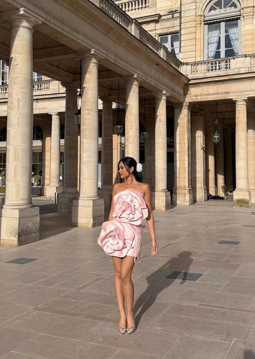 Jaylani | Strapless Mini Dress